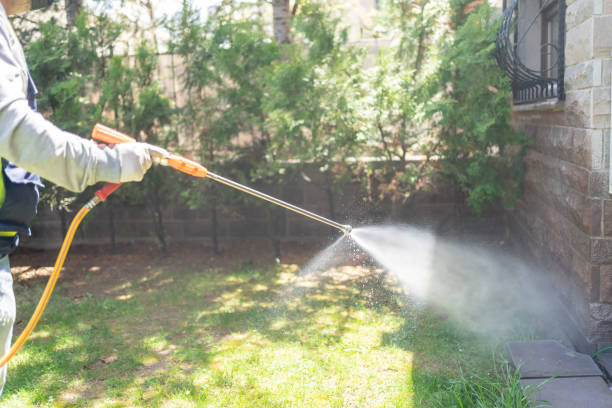 Best Pest Control for Homes  in USA